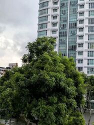 Blk 532 Bukit Batok Street 51 (Bukit Batok), HDB 4 Rooms #557125591